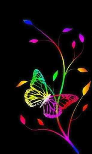 Rainbow Butterfly Live Wallpaper This