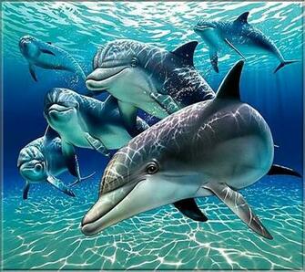 Dolphins Screensaver Wallpaper
