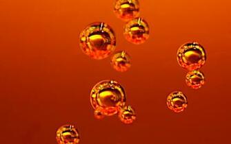 Abstract Orange Wallpaper Bubbles Drinks