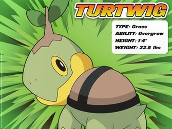 Pokemon Wallpaper Turtwig