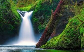 Fairy Falls Trail Columbia River Gorge Oregon Wallpaper