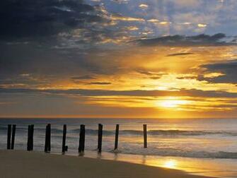 Animals Zoo Park Sunrise Beach Wallpaper For