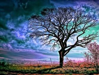 Beautiful Wallpaper Screensavers HD