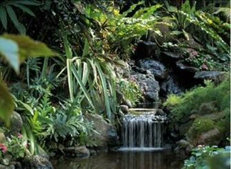 Animated 3d Waterfalls Wallpaper Enjoy