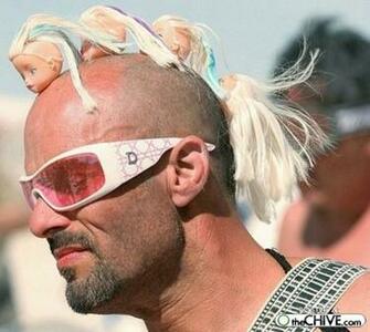 Crazy Funny Picture HD Wallpaper Pulse