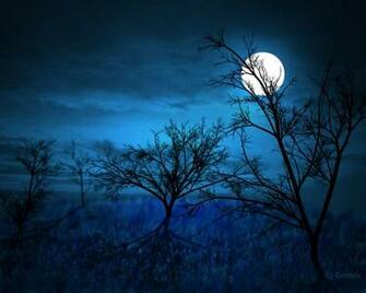 Life Times Day June Be The Moon
