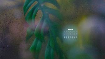 March Wallpaper Bies For Desktop Phones