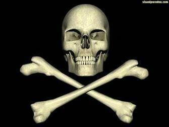 Lea Michele Skulls And Crossbones Wallpaper