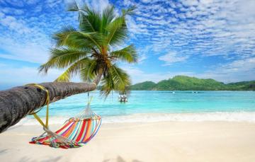 Wallpaper Sand Sea Beach Summer Palm Trees Hammock