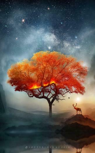 Wallpaper Deer Tree Art Fire Fantastic