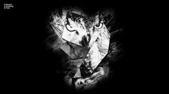 Ovo Logo iPhone Wallpaper October S Very Own Owl