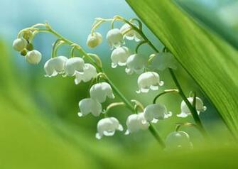 Tablet Wallpaper HD In High Resolution For Get