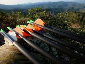 The Diy Hunter Archery Hunting For Elk In Utah Wasatch
