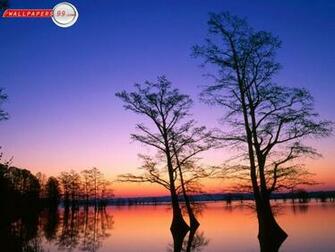Summer Sunsets Wallpaper