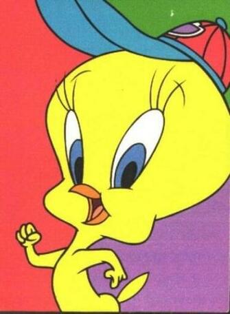 Tweety Bird Photo