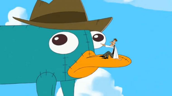 Perry The Platypus Wallpaper