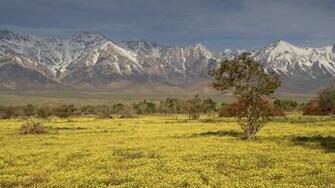 Background California Background Crest Eastern Sierra Laptop Desktop