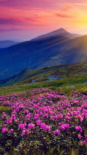 Sunset Mountain 4k Ultra HD Wallpaper Net