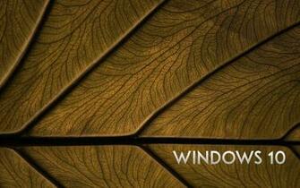 Windows Wallpaper Graffies