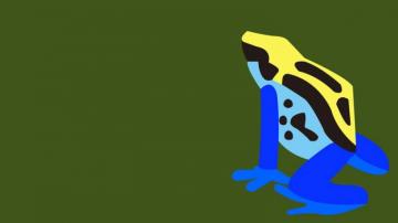 Hop Frog Fractions Wallpaper By Garymotherpuckingoak