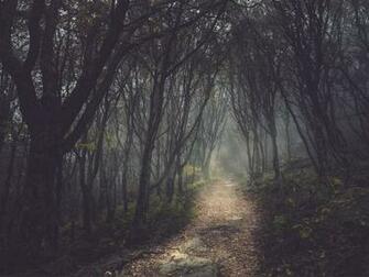 Forest Small Path Wallpaper Mysterious