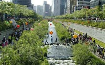 Seoul City Festival South Korea Wallpaper