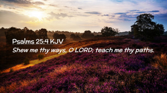 Psalms Kjv Desktop Wallpaper Shew Me Thy Ways O Lord