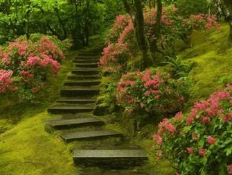 Japanese Garden Washington Park Wallpaper HD