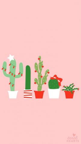 December Christmas Cactus Calendar Wallpaper Sarah Hearts