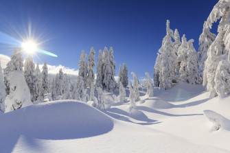 Nature Winter 4k Ultra HD Wallpaper