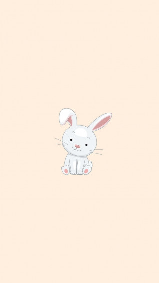 Bunny Aesthetic Wallpaper