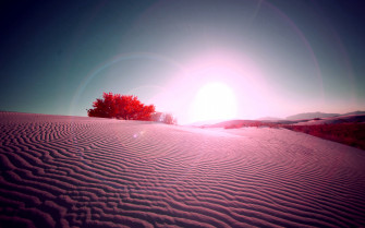 Desert Flare Wallpaper