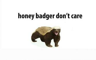 Continuing With My Honey Badger Binge Wallpaper Utefans Net