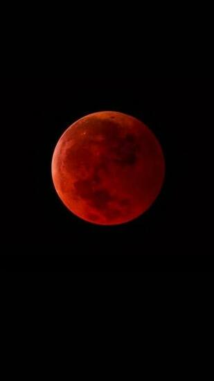Super Blood Moon Android Wallpaper Moons