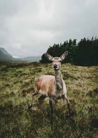 Scottish Highlands Snowdonia By Hollie Harmsworth Faroe