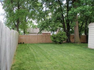 Best Backyard Background