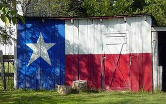 Texas Usa Flag Pictures