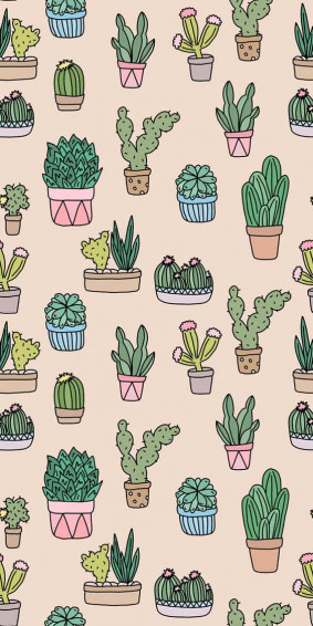 Cactus iPhone Wallpaper