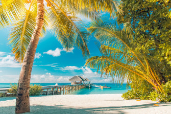 The Best Time To Visit Caribbean Wallpaper