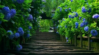 Santabanta Nature Wallpaper HD