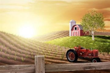 Amazon Lfeey Morning Busy Farm Photography Background