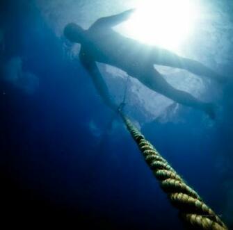 Diving Dnf1 By Aquamancer