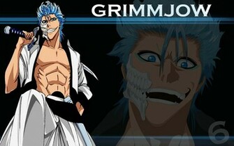 Grimmjow Jeagerjaques Wallpaper