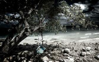 Black And White Nature Wallpaper The Database
