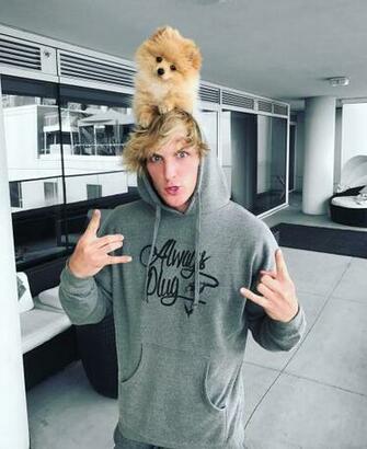 Hi I M Logan Paul A R And Single Make