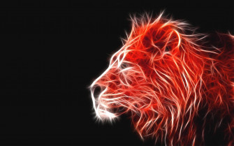 Fire Lion Wallpaper