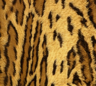 Cute Leopard Print Wallpaper