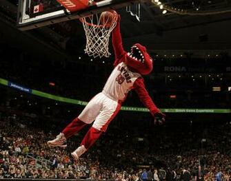 Raptors HD Wallpaper