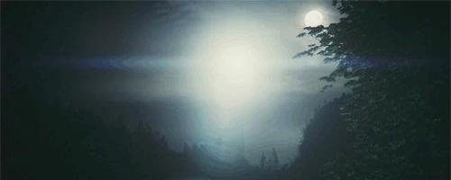 Amazing Photography Full HD Wallpaper Gif