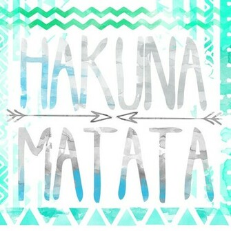 Free download Lion King desktop wallpaper hakuna matata [1680x1044] for